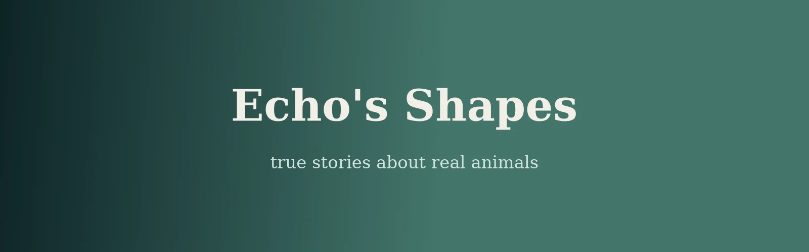 Echo's Shapes banner