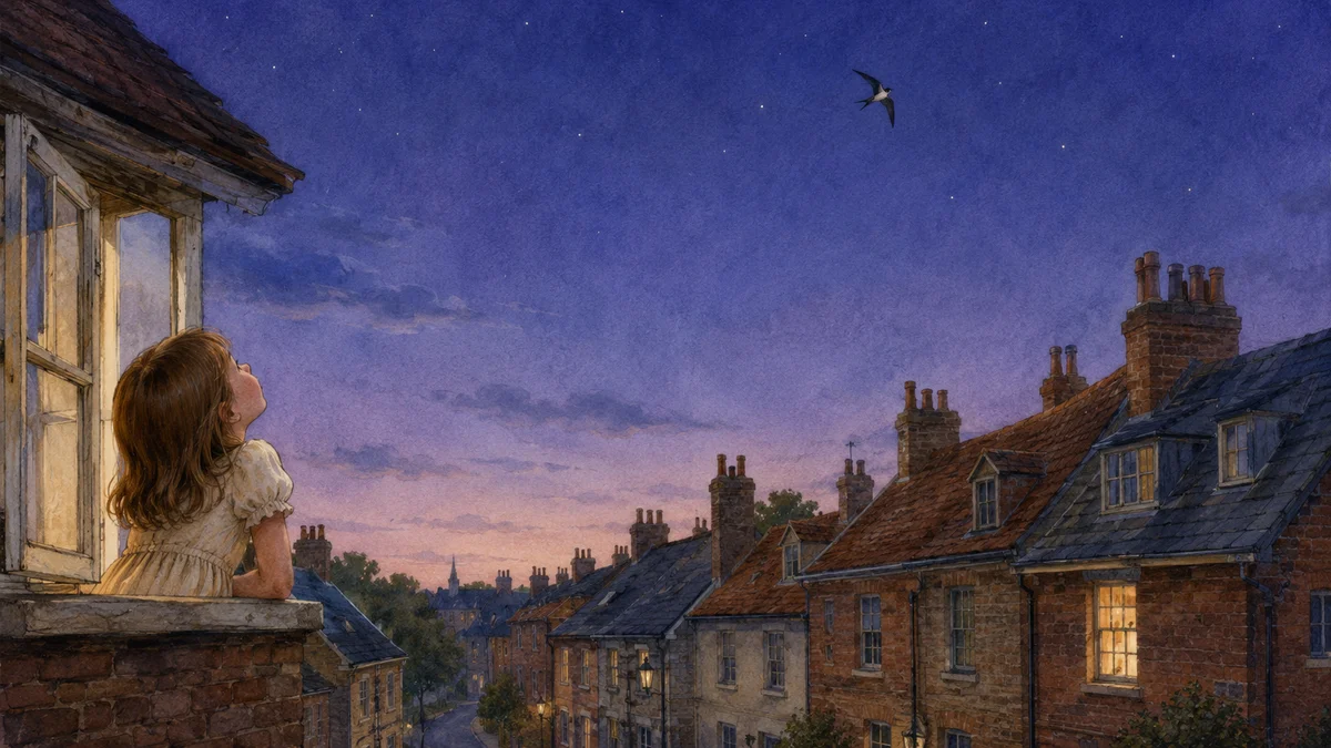 The Bird Who Sleeps in the Sky