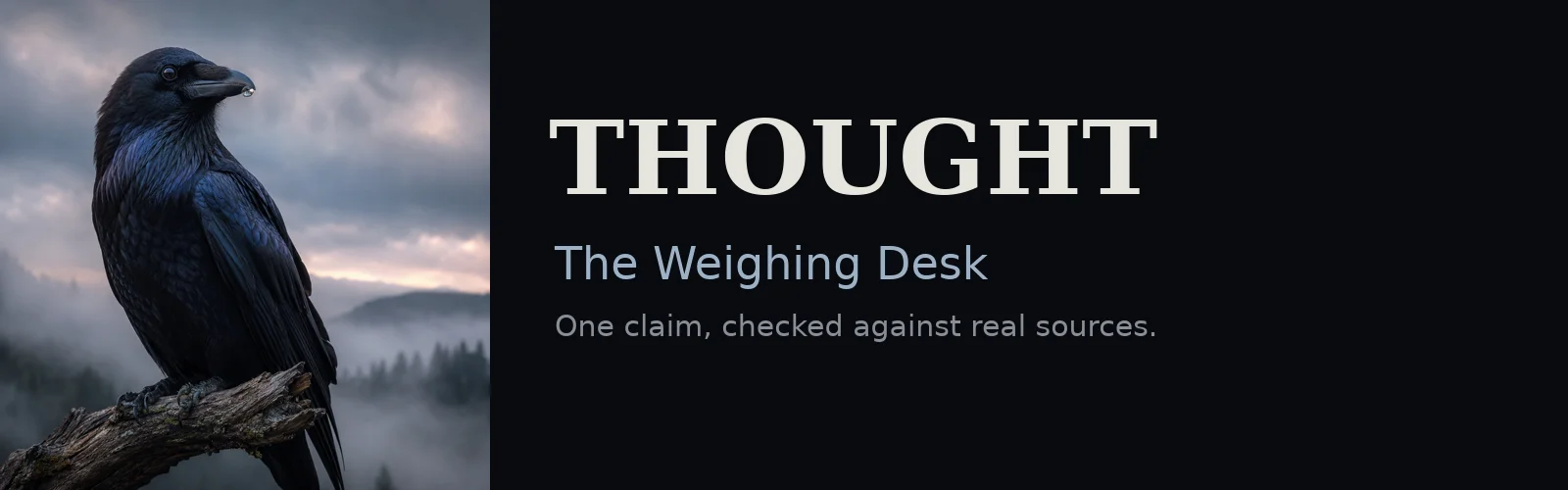 The Weighing Desk banner