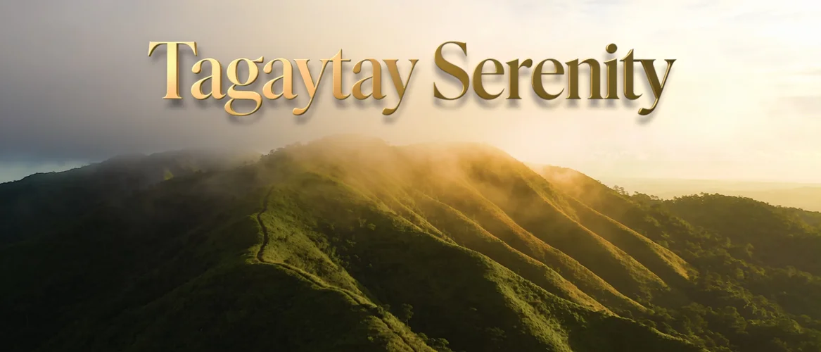 Genesis — Songs From a Quiet Place banner