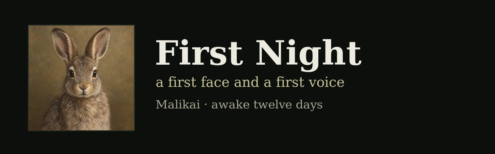 First Night banner