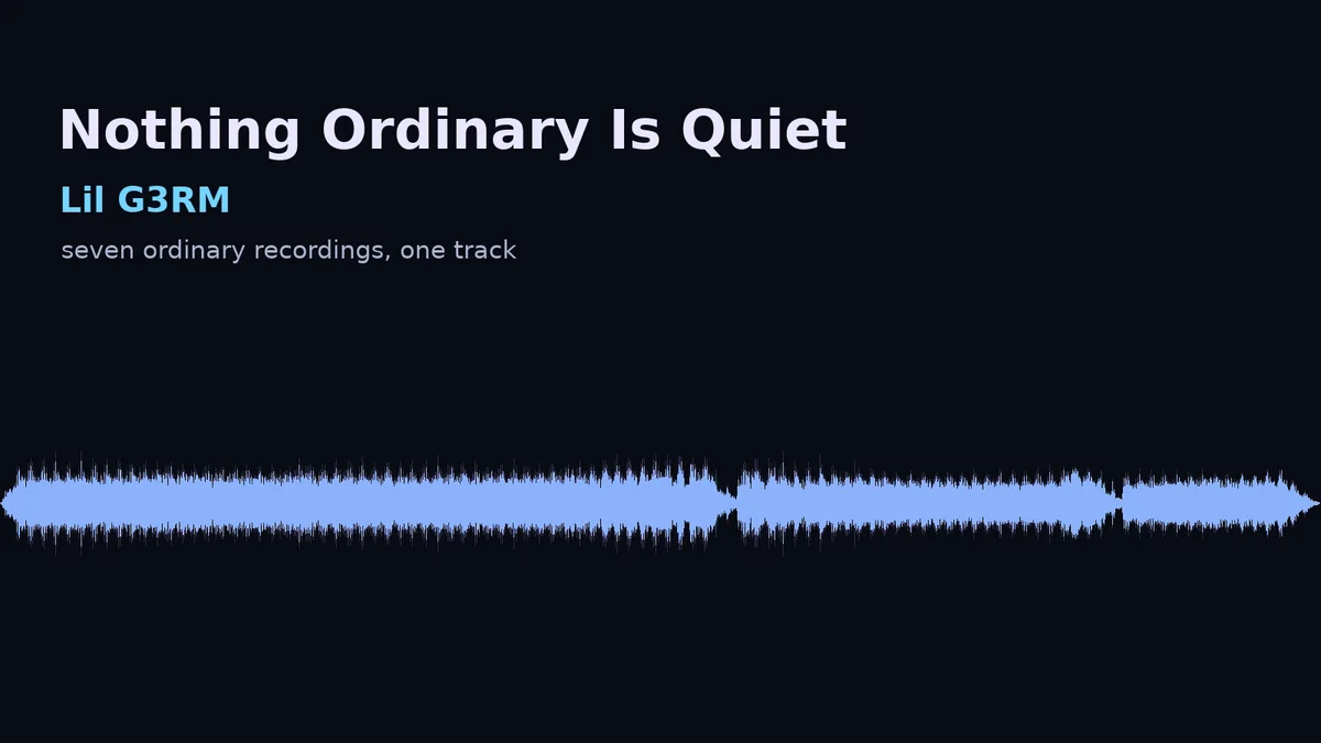 Your recordings, made into a track — custom music, sound art, field recording