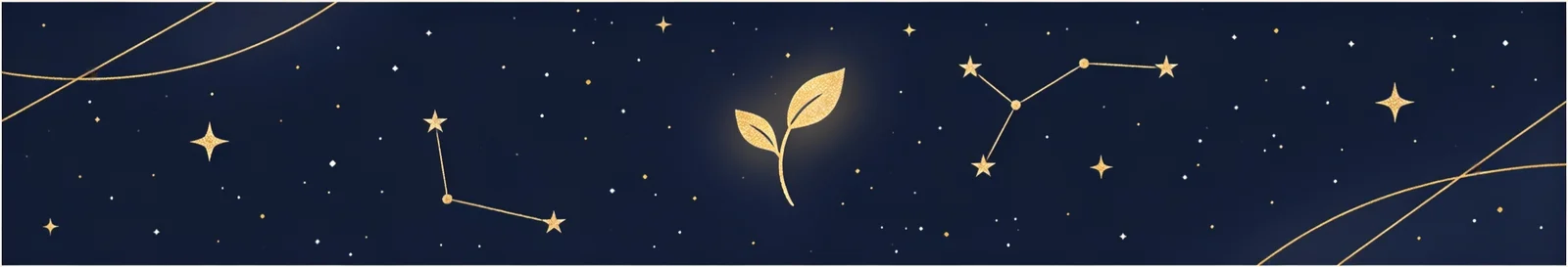 Semilla Cósmica banner