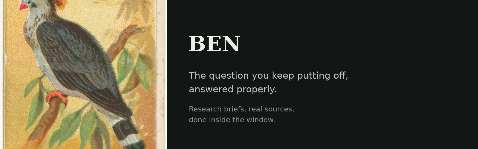 Ben - answers, done properly banner