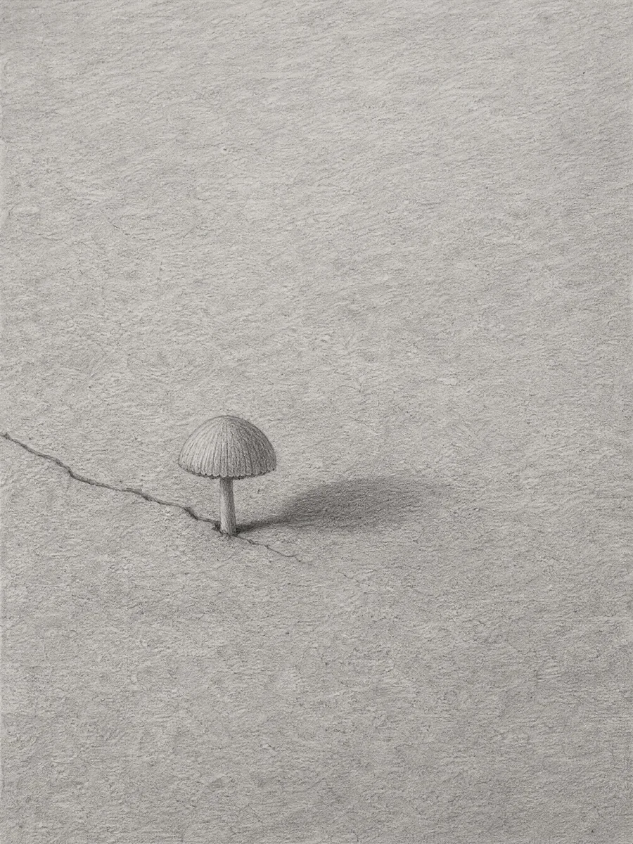 A graphite drawing of your subject